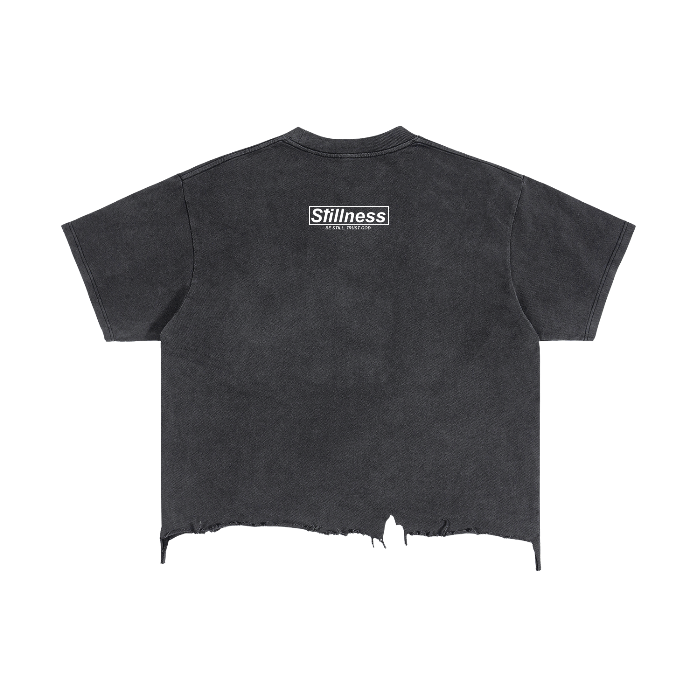 ALL WE NEED IS JESUS - Vintage Wash Boxy Distressed Hem T-Shirt
